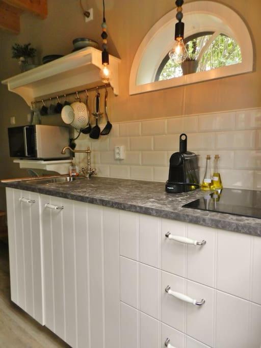 Villa Tiny House Tholen Extérieur photo