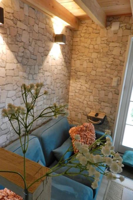 Villa Tiny House Tholen Extérieur photo